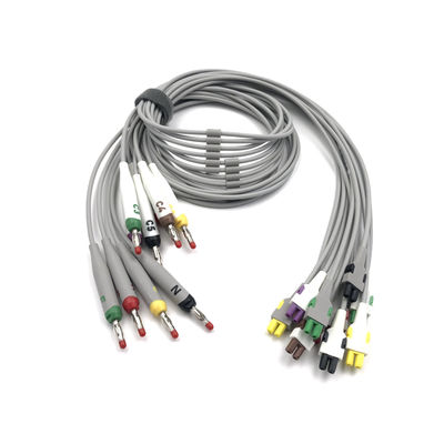 2104724-002 EKG Leadswires and Trunk Cables 10 leidingen
